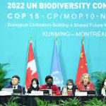 Accordo sulla biodiversità al Cop 15: “Proteggere il 30% del pianeta entro il 2030″. Ma c’è chi si dissocia