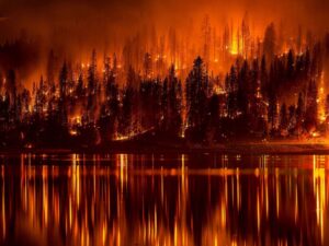 Incendi-7
